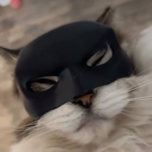 CatMan | BatCat Mask - Ready to Ship in 2-3 days