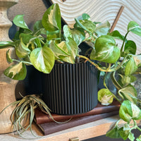 Fluted Planter