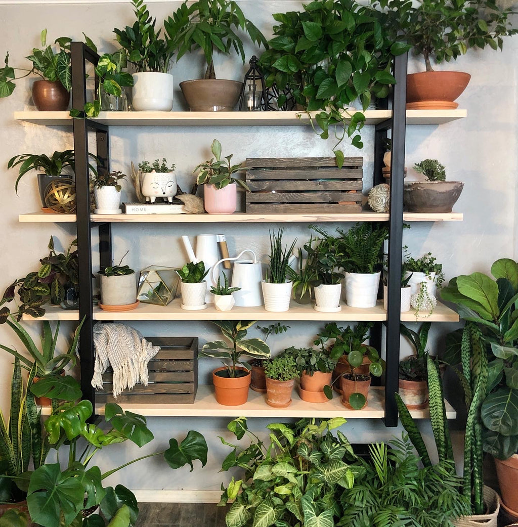 Custom Shelves - Two Moose Design